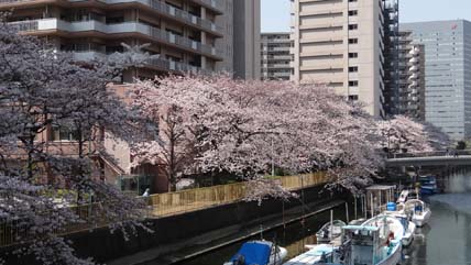 東京の橋：