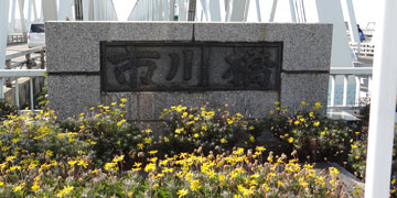東京の橋：市川橋