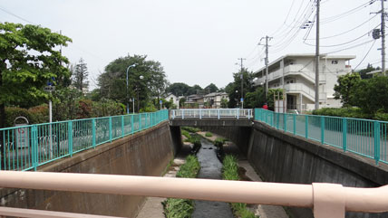 高橋 10番目の画像 - 高橋国光さん追悼展示＠ホンダ／日産 - Web