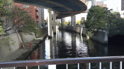 東京の橋：小石川橋