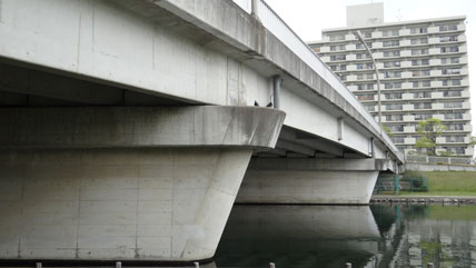 虹の橋 東京の橋：