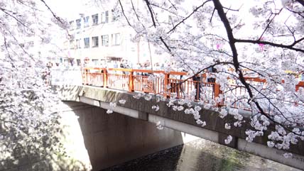 東京の橋：天神橋
