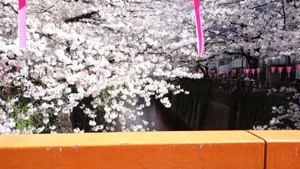 東京の橋：天神橋