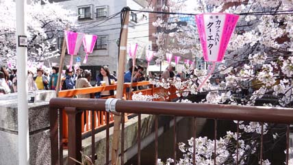 神橋 ライトアップ神橋 | GANREF