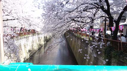 （真作）飛騨川の朝霧橋 2025年 朝霧橋 - 出発前に知っておくべきことすべて - トリップ