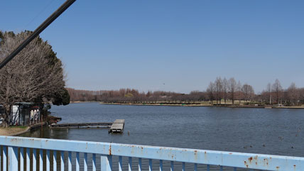 東京の橋：水元大橋