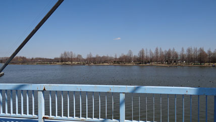 東京の橋：水元大橋