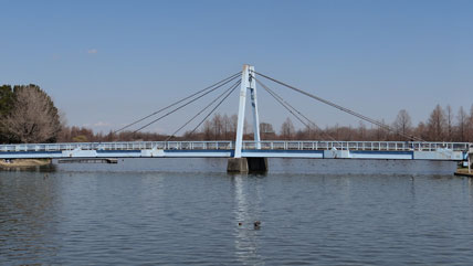 東京の橋：水元大橋