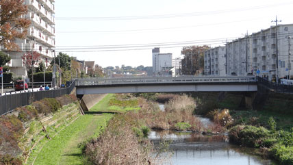 東京の橋：高谷橋