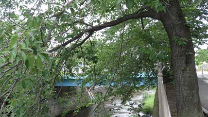 東京の橋：高瀬橋