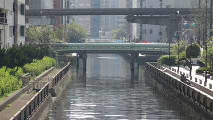 河橋 四国横断自動車道】07 新町川橋 架設 part2【徳島河川国道事務