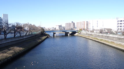 河橋 京都府（北部）の橋