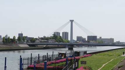 東京の橋：大杉橋