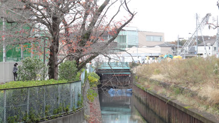 神橋 Belparts Excavator Final Drive ZX120-5 Travel Motor Assy