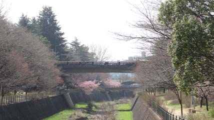 東京の橋：ふれあい橋
